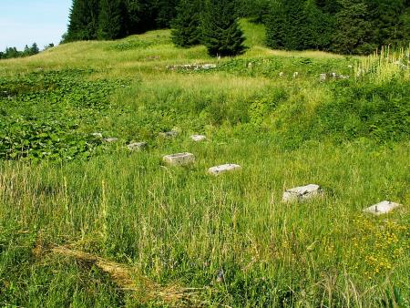 Ostanki temeljev Žage Rog, Wikipedija